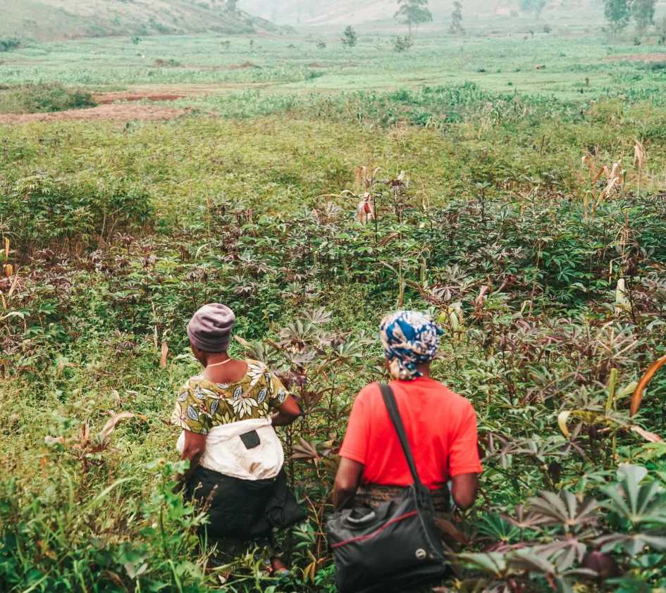 Women on their fields in DR Congo