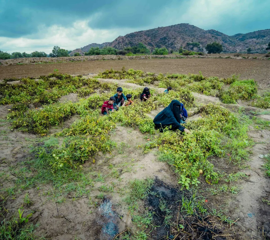 Klimaat: landbouw bedrijven