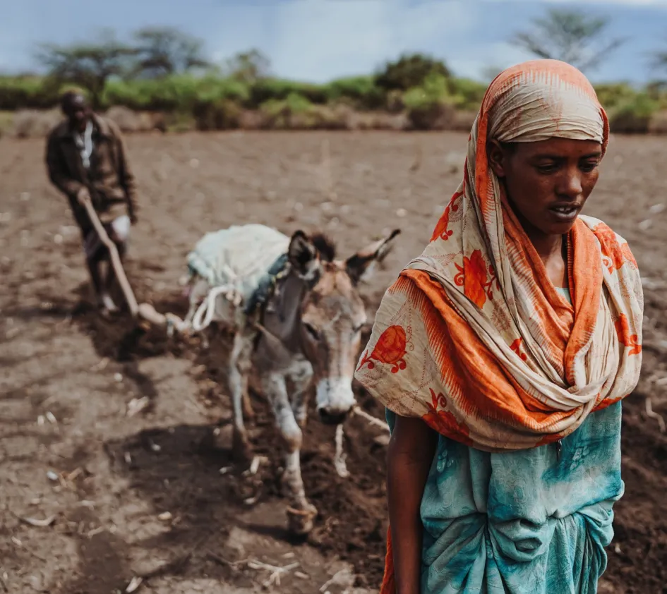 Men and woman plow their field in Ethiopia