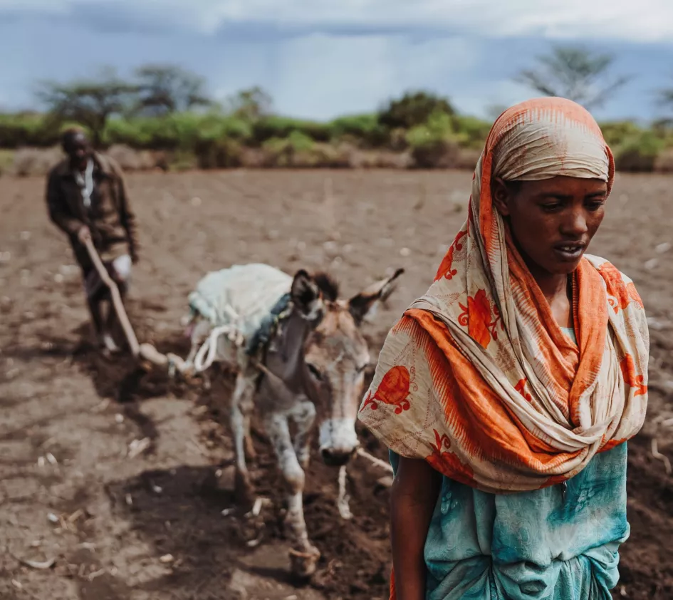 Men and woman plow their field in Ethiopia