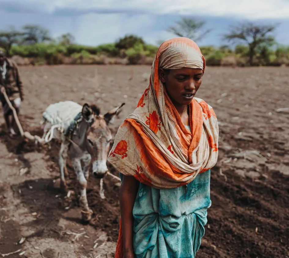 USAID project Ethiopie