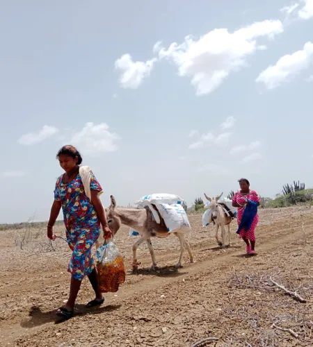 USAID project Colombia