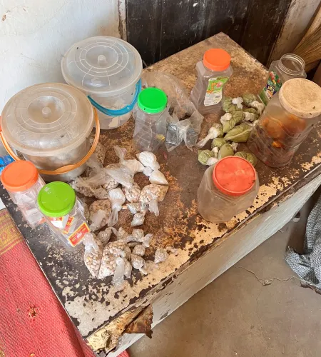 Het oude winkeltje van Aishatu