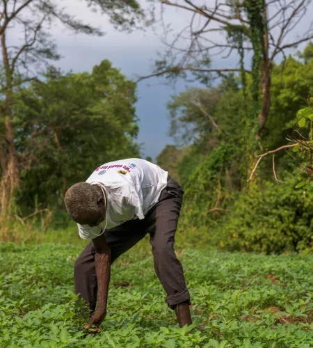 A man working on the land in Ethiopia
