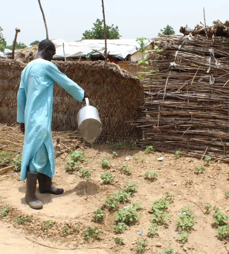Klimaat: Moestijn bewateren