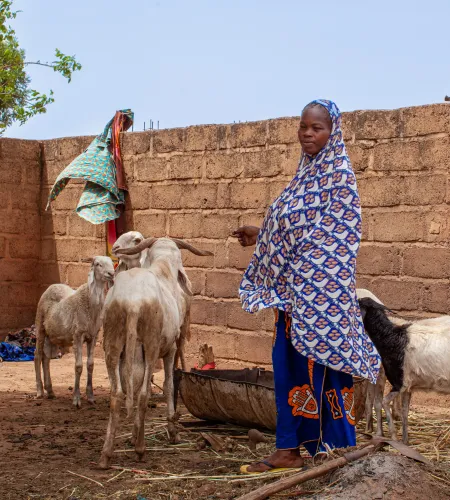 A girl in Burkina Faso with goats