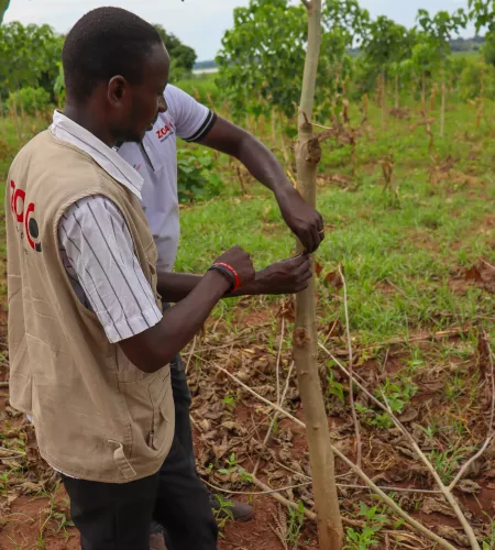 Two ZOA workers in Uganda in a field
