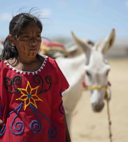 Girl with a donkey Colombia
