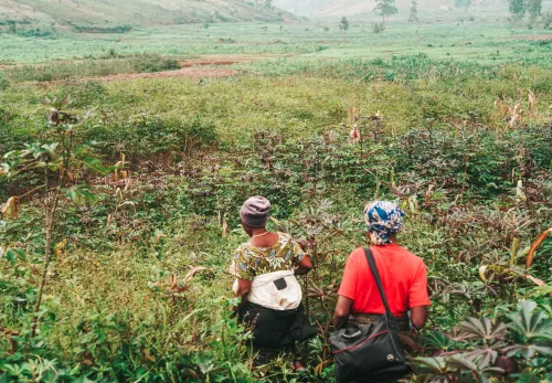 Women on their fields in DR Congo