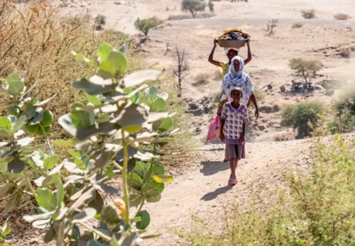 Refugees in Ethiopia
