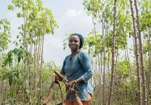 Woman working the land in Liberia