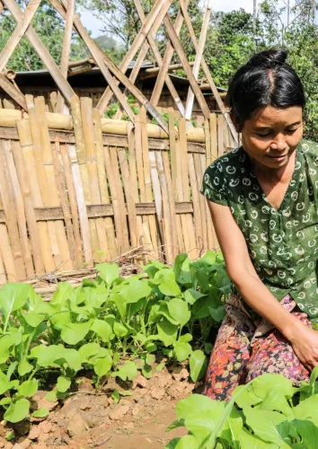 A women working in a vegetable garden